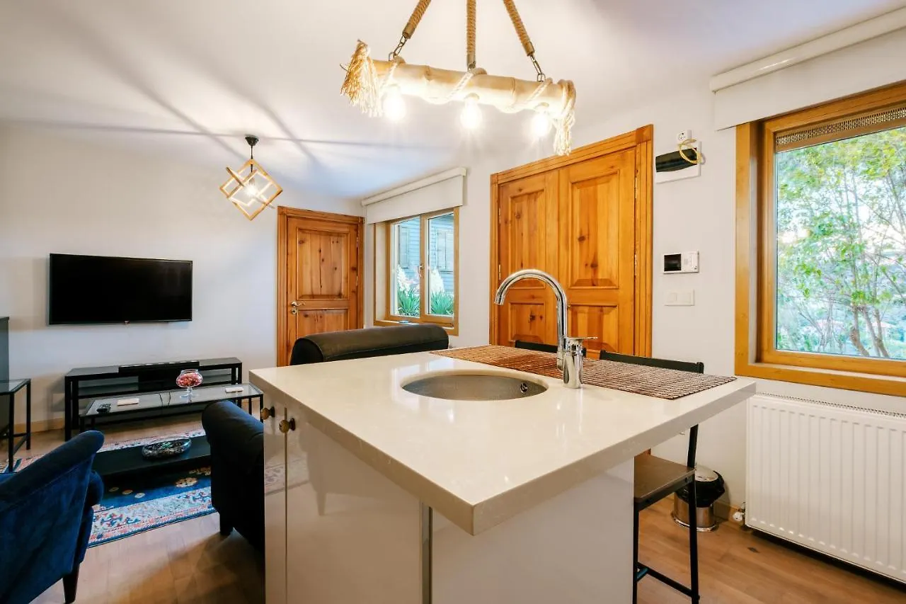 House With Garden And Bosphorus View In Kuzguncuk Villa Istanbul