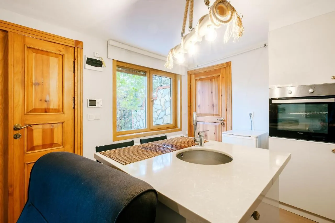 House With Garden And Bosphorus View In Kuzguncuk Villa Istanbul Turkey